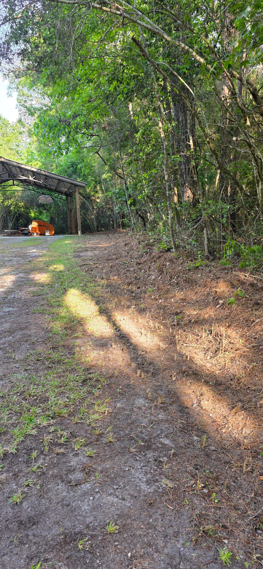 Cleared driveway and trimmed tree line beside a carport after Lady Edge cleanup