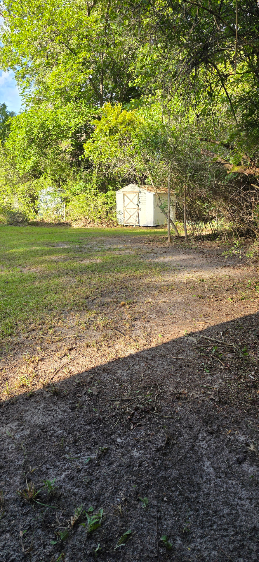 Cleared backyard with shed exposed after Lady Edge brush removal