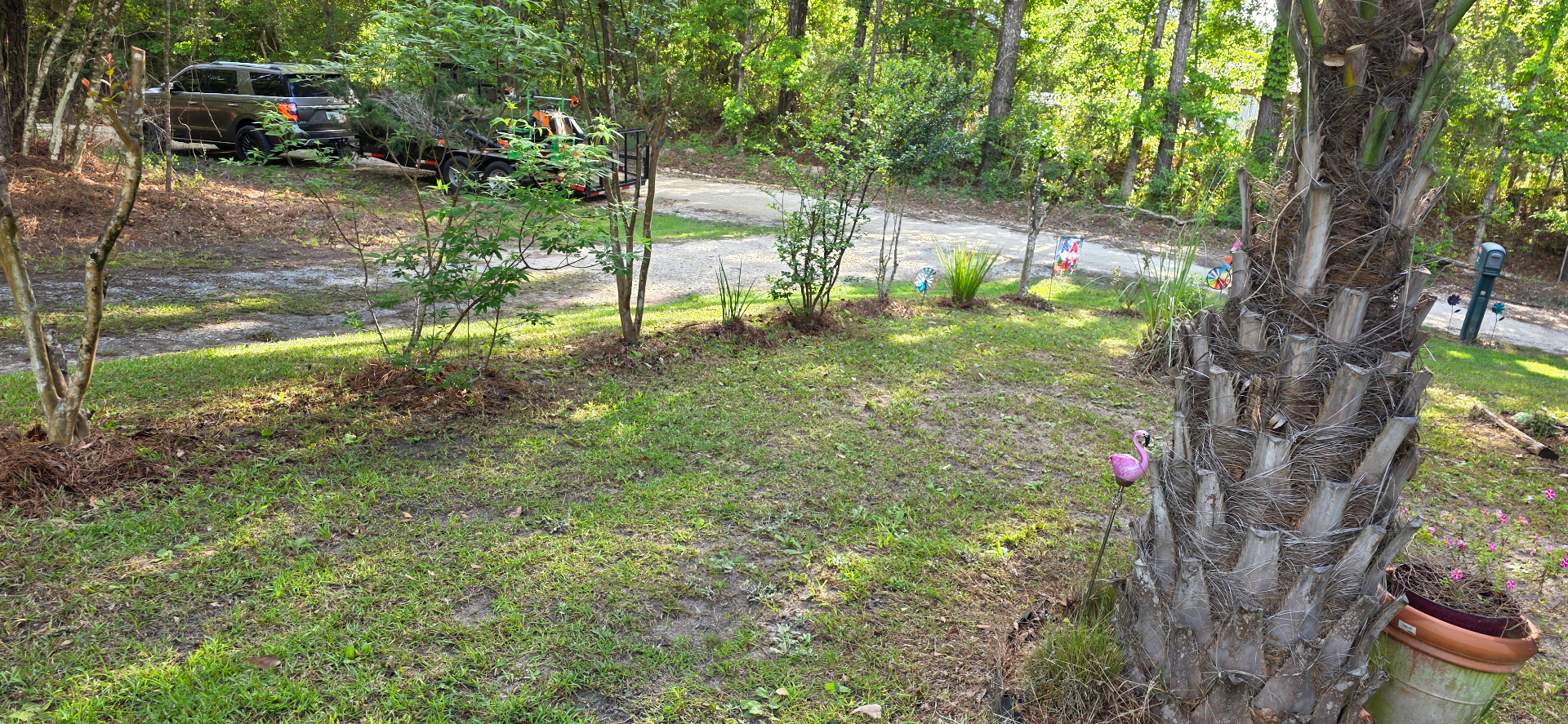 Freshly mowed and trimmed yard with shaped beds after Lady Edge service