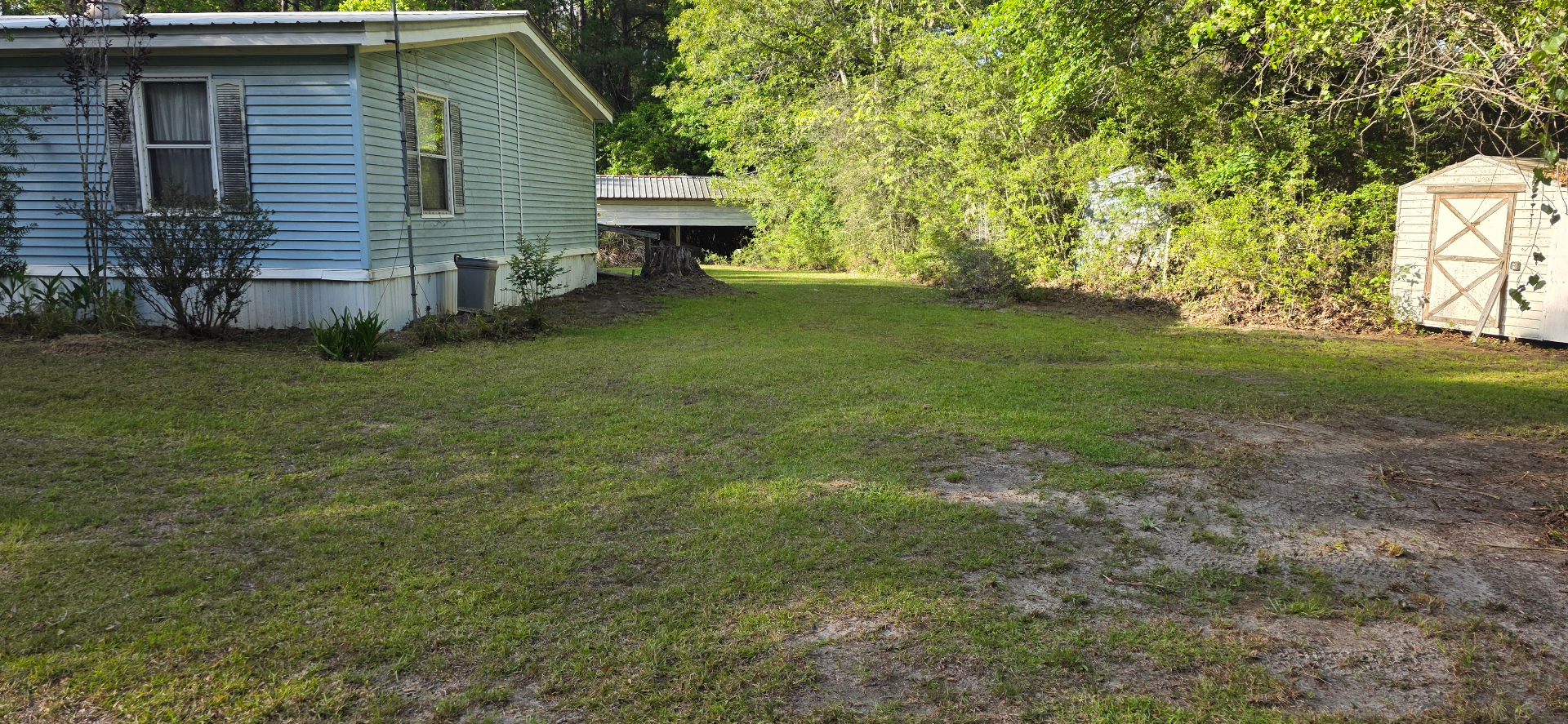 Freshly cut side yard beside a home after Lady Edge lawn service