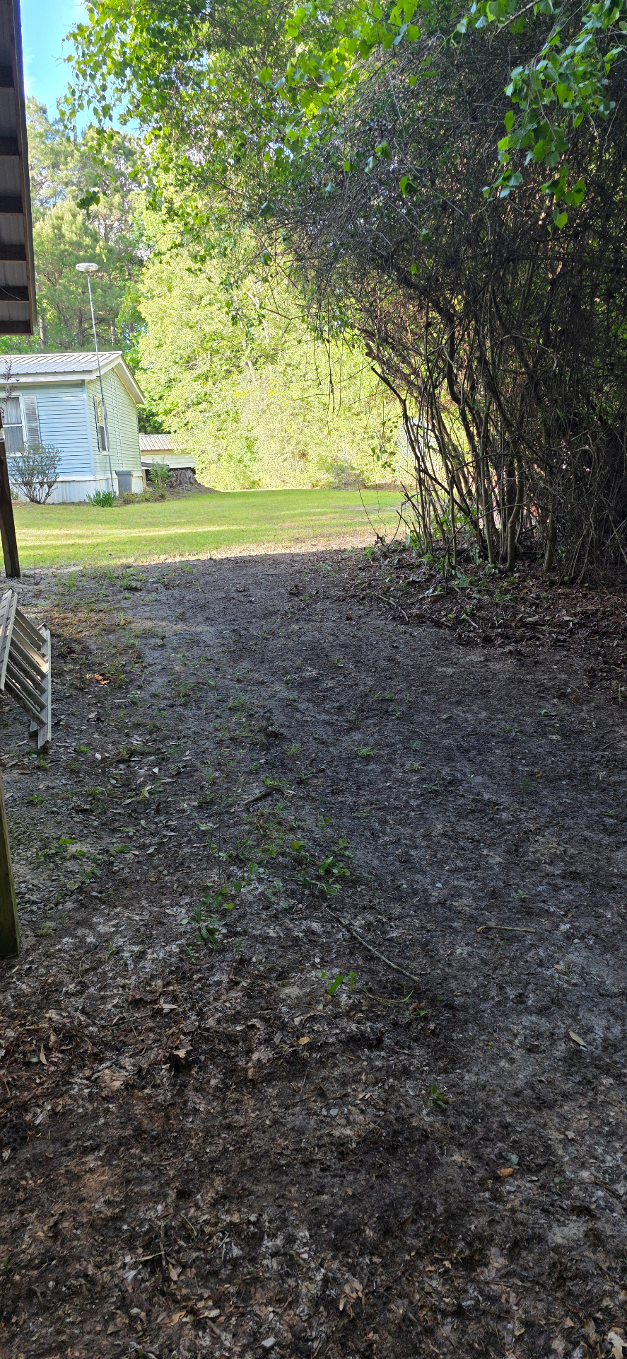 Side yard cleared of brush and debris next to a mobile home